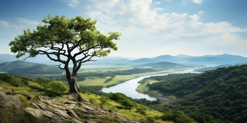 Obraz premium Tree standing atop a mountain with a river in the distance