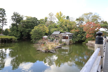 Fototapeta na wymiar A Japanese garden : a scene of the Kyoto Imperial Gardens in Kyoto 日本庭園：京都市にある京都御苑の風景