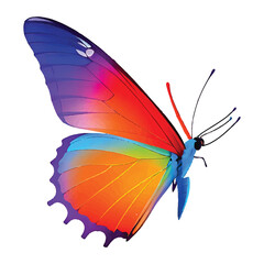 Red beauty butterfly insect icon