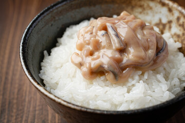 イカ塩辛とごはん