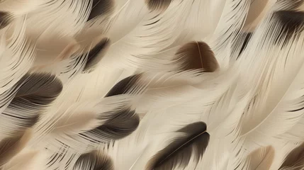 Foto op Plexiglas Fotorealistische Textur von Vogelfedern, nahtloses Muster, seemless pattern © mutom