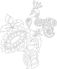 hand drawn flowers peacock