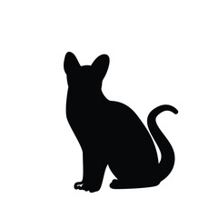 black cat logo icon
