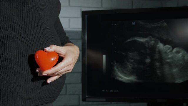 Hold heart symbol by pregnant belly. A pregnant woman hands hold the red heart by the picture of unborn child in the cabinet.