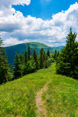 Blue mountains, green valley. Panoramic view of Slovakia mountains in summer day. Carpathian, Slovakia, Europe. Mountain tourism. Tourism and travel concept. Natural green forest background panorama.