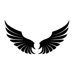wing isolated vector