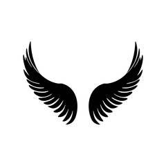 wing isolated vector