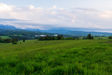 Fototapeta na wymiar panorama of romania countryside at sunset in evening light. wonderful springtime landscape in mountains. grassy field and rolling hills. rural scenery