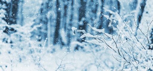 Winter forest with snow-covered bush on the background of trees during snowfall
