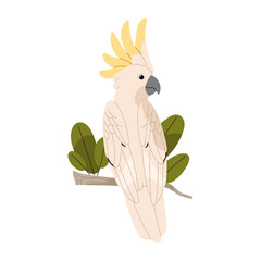 Sulphur crested cockatoo sit on branch. Talking parrot. Exotic bird with fluffed yellow crest. Tropical animal, rainforest fauna, wild nature. Flat isolated vector illustration on white background