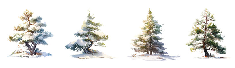 Winter Green pine trees watercolor set collection. - 679568119