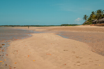 A tourist walking on the beach against resorts amidst palm trees in Manda Isalnd, Lamu, Kenya