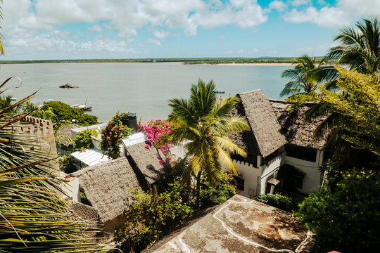 Houses amidst Palm trees in Shela Beach, Old Town Lamu, UNESCO World Heritage Site