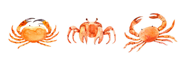 Watercolor set of crabs. Hand-drawn illustration isolated on the white background