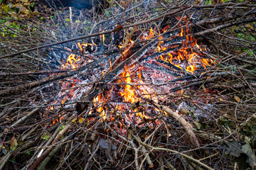 Fire made of twigs from garden cleaning