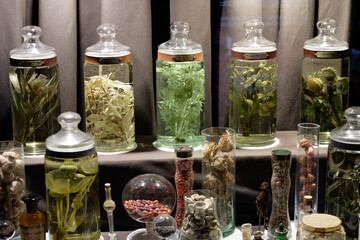 Several glass jars containing different poisonous or hallucinogenic plants such as jimsonweed, etc. - obrazy, fototapety, plakaty
