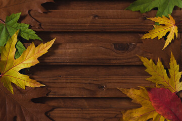 Naklejka na ściany i meble wooden background of autumn yellow, green and red leaves with with copy space