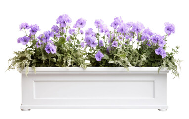 Marvelous Colorful Window Box Isolated on Transparent Background PNG.