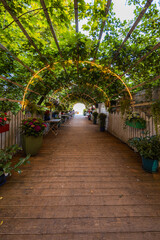 Fototapeta na wymiar Beautiful green tunnel full of green plants flowers and lights as entrance to the beach