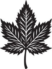 Autumn Leaves Silhouettes EPS Autumn Leave Vector Autumn Leave Clipart