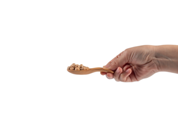 Chickpeas source of natural protein, vitamins and minerals. Healthy diet food on wooden spoon in hand. transparent background.