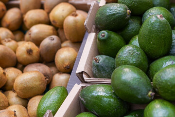 green fresh avocado and kiwi in the market. Concept of healthy food