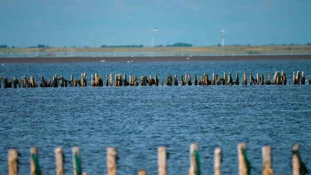Coastal view from the road to the Mando island in Denmark. Parallax video.