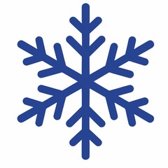 snowflake icon, winter snow flake, christmas decoration vector illustration