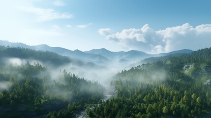 Lush mountain forest, high angle aerial view with light mist.