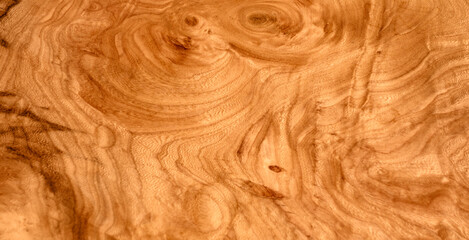 Burled wood grain