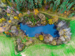 Aerial view of the lake in Lithuanian forests, wild autumn nature. Varena district, Europe.