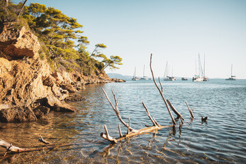 Early morning in Port-Cros, France