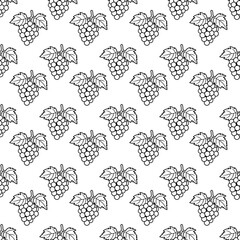 Grape seamless pattern background. Hand drawn  illustration fruit. Eating healthy and vegan food.Doodle