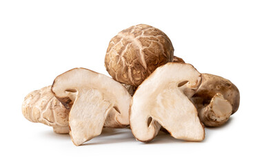 Fresh and dry shiitake mushrooms in stack isolated on white background with clipping path and shadow in png file format. Japanese and Chinese herb