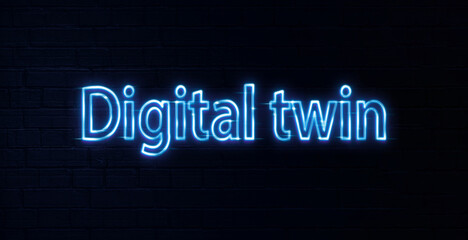 Obraz premium digital twin text neon sign