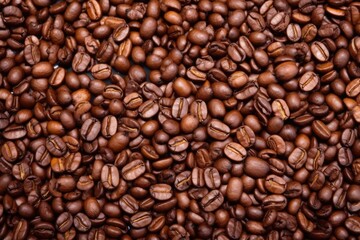 Fototapeta premium single coffee bean extreme closeup