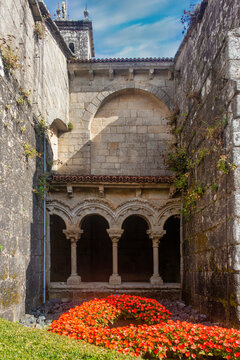 A beautiful and flowery interior garden in the patio of the Collegiate Church of Sar, in Santiago de Compostela, in the background you can see a series of semicircular arch windows
