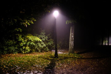 Entre ombre et lumière