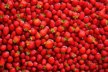 Fotobehang fresh, dewy strawberries forming a bumpy red landscape © Alfazet Chronicles