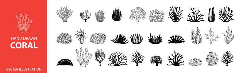 Underwater sea icon set. Coral, seaweed sketch graphic elements. Trendy coral reef under water collection. Black line engraved style. Cool hand drawing vector illustration isolated on white background - obrazy, fototapety, plakaty