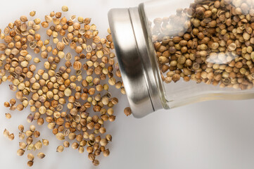 Coriander seeds are in a spice jar..Coriander seeds used for cooking. Cooking spice.