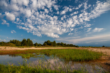 Landscape beach shore with grasses and reeds with speckled clouds