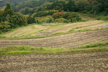 Fototapeta na wymiar Rice terraces in Iwakubi, Sado Island, Niigata prefecture.