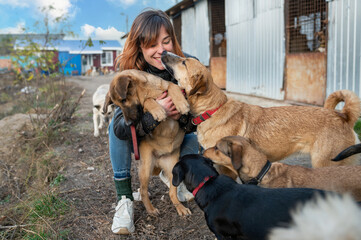 Dog at the shelter. Animal shelter volunteer takes care of dogs. Animal volunteer takes care of homeless animals.