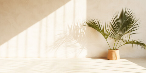 Potted green palm plant in an empty room. Shadow of palm leaves on a white concrete light beige wall. Copy space. Generative AI