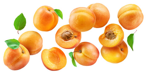 Ripe apricots and apricot halves flying in air on white background. File contains clipping path.