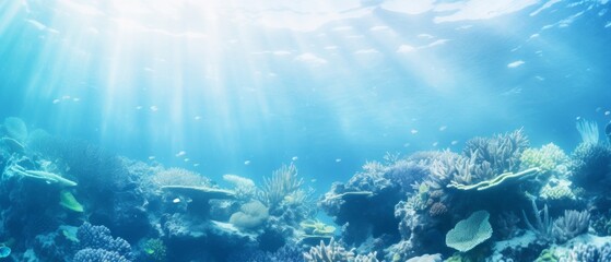 Fototapeta na wymiar Underwater coral reefs. Mesmerizing ocean background