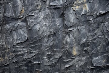 Fototapeta premium close-up shot of a dark grey slate with natural impressions