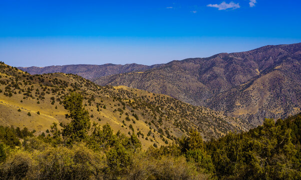 Mountains covered with grass and trees and cloudy dramatic sky on a daytime in Zaamin reserve.
