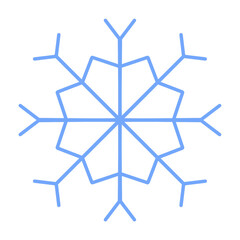 snowflake on a white background